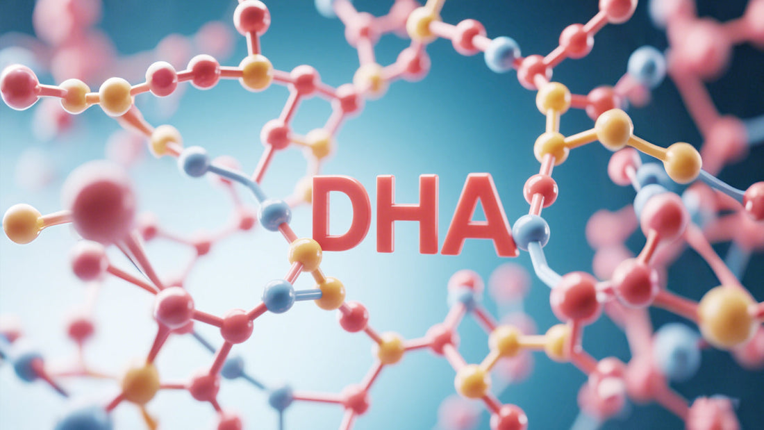 What DHA, the needs of different groups of people for DHA